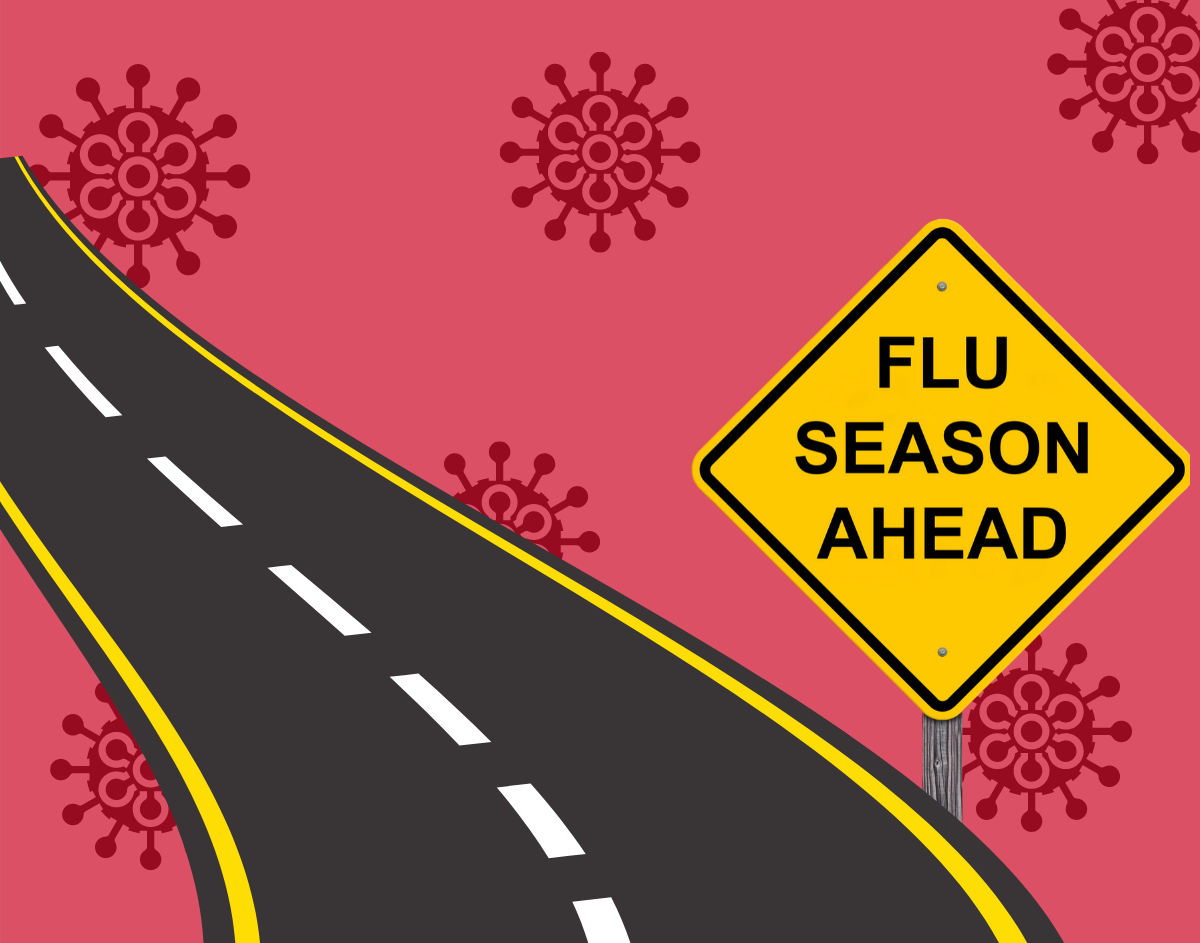 Flu Season ahead