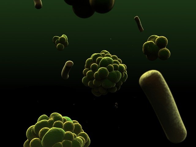 virus cells