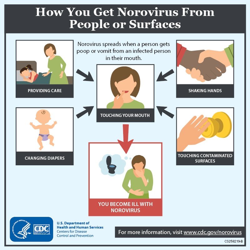 how-get-norovirus-lg.jpg